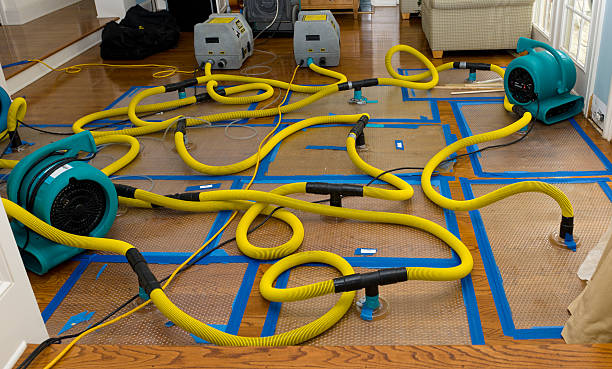 Professional Crawl Space Water Removal technician working in Jeddo, MI
